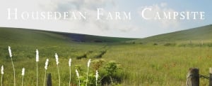 Top Camping Locations in Sussex