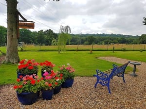 Top Camping Locations in Sussex