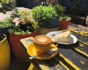 Best Brunch Spots