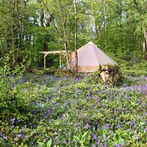Top Camping Locations in Sussex