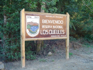 Los Queules National Reserve