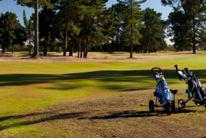 Harewood Golf Club