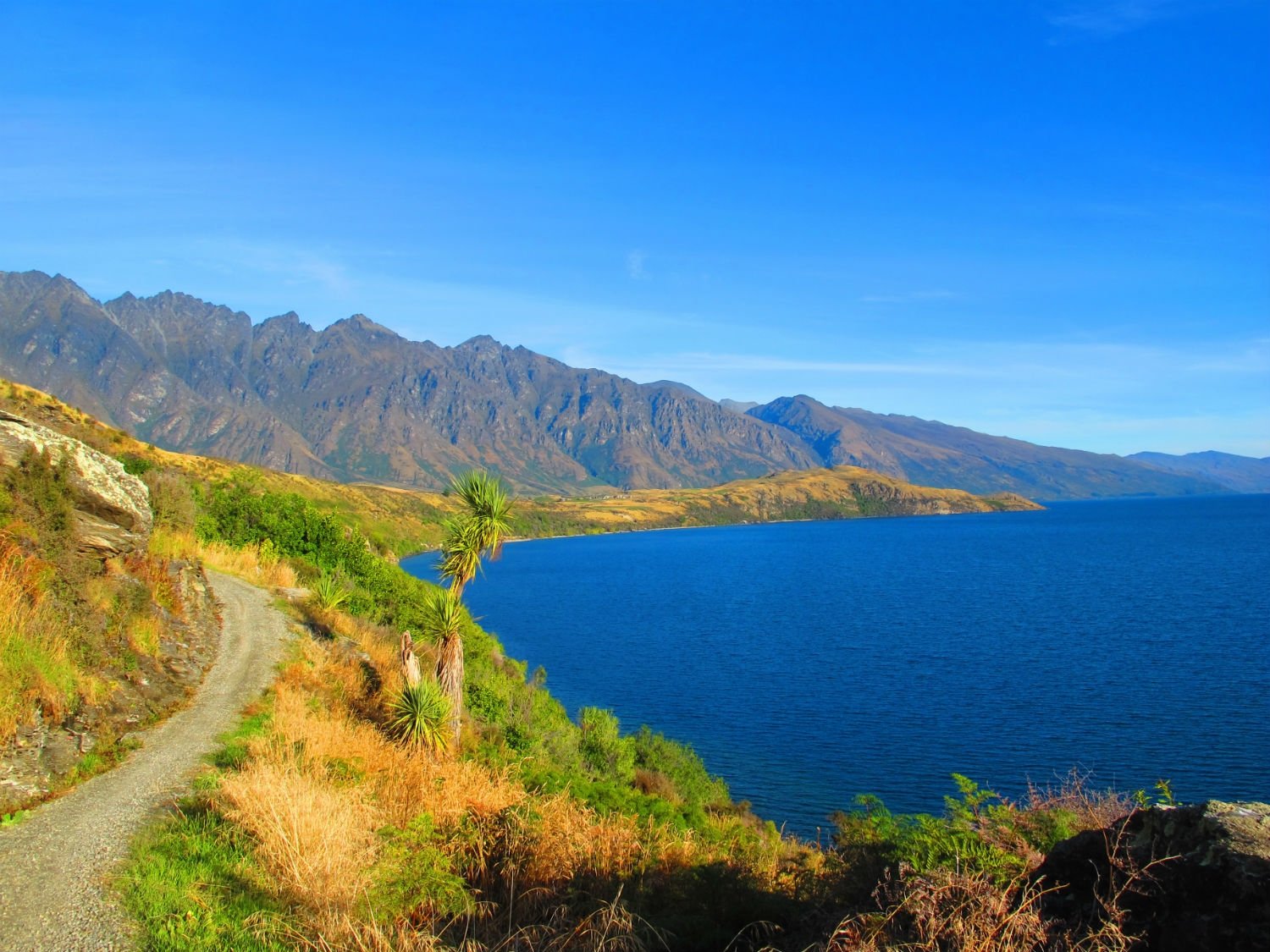 Queenstown Walks