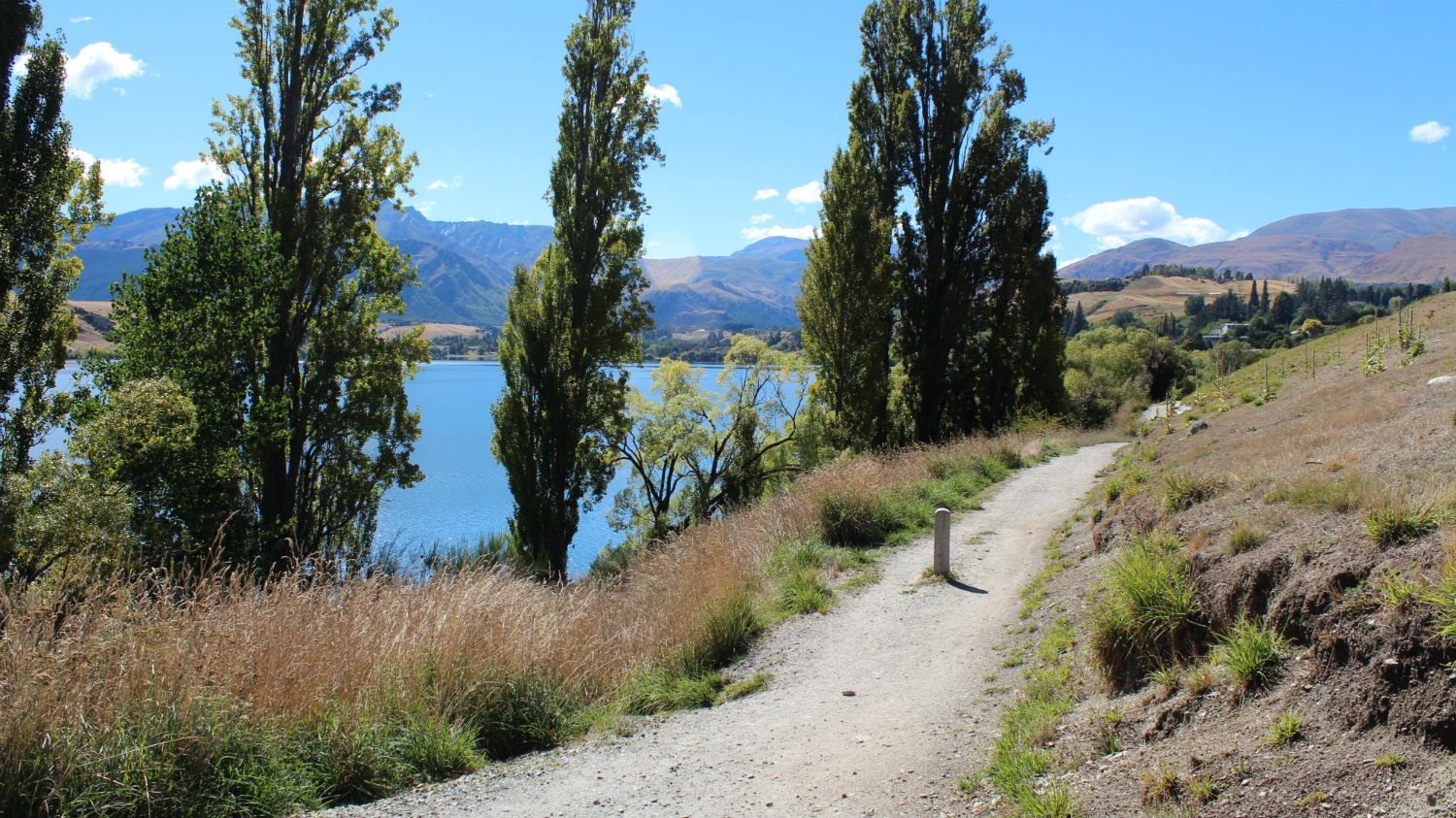 Queenstown Walks