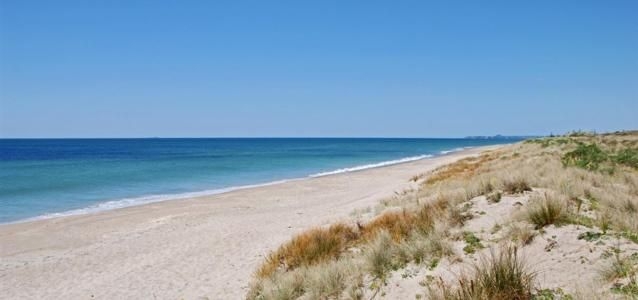 Bay of Plenty Beaches