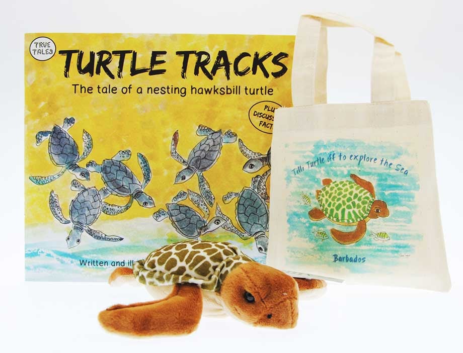 The turtle tracks Family book with a green turtle plush toy