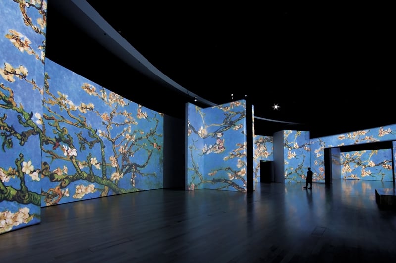 Van Gogh Alive in Alicante