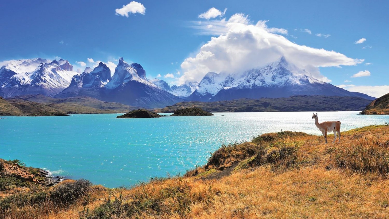 From El Calafate: Torres del Paine Full Day Tour