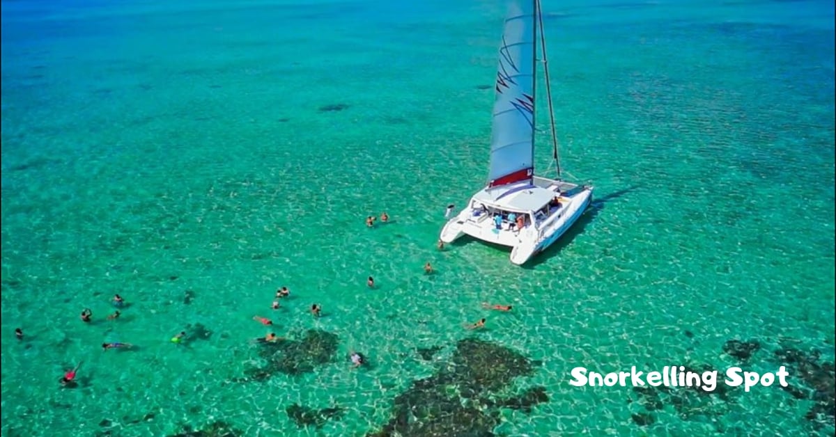 Cruise to ile aux cerfs - Snorkelling Spot