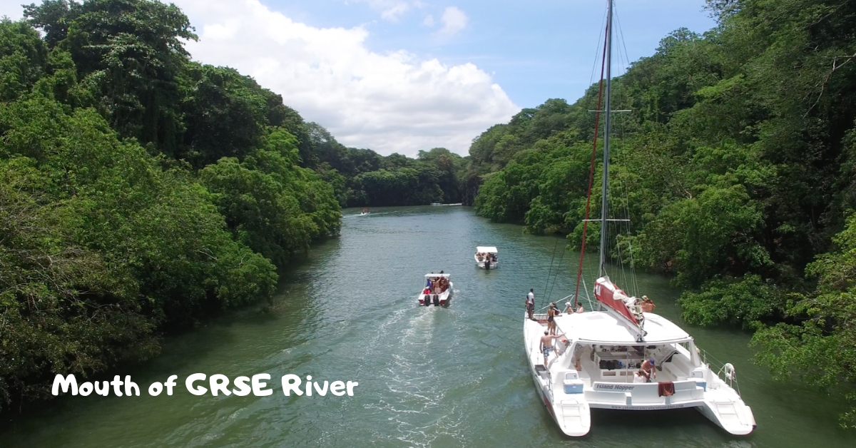 Private Catamaran cruise to Ile aux cerfs - mouth of GRSE River