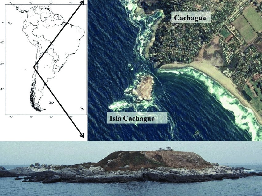 Cachagua Island Map