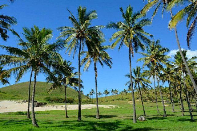 Anakena Beach
