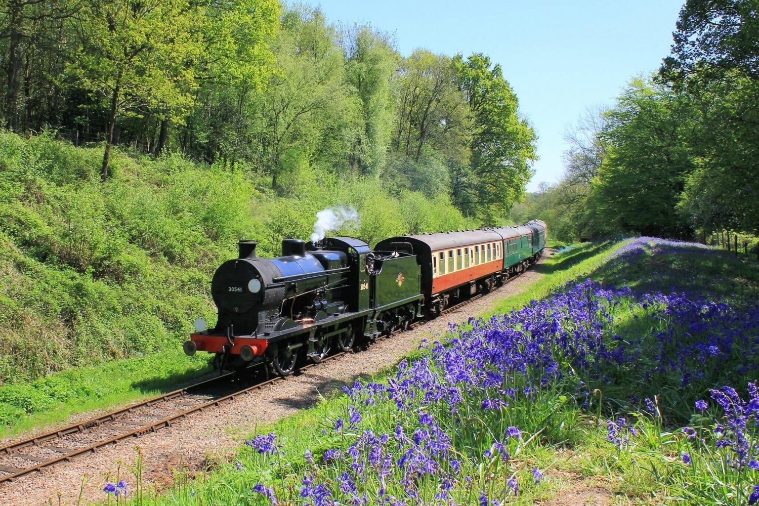 Bluebell Railway