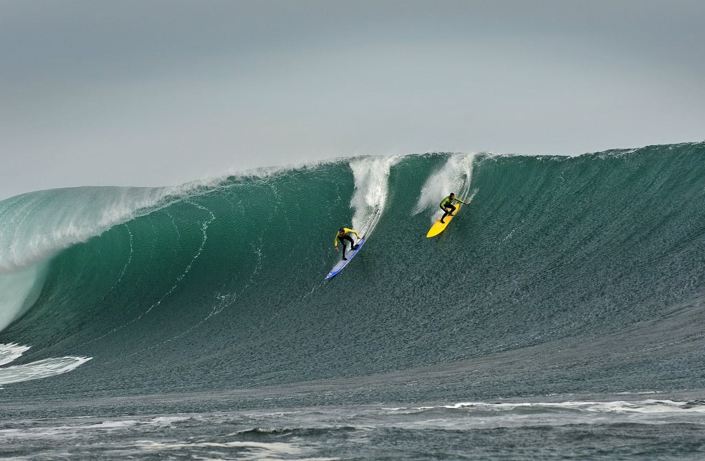 Punta de Lobos in Chile