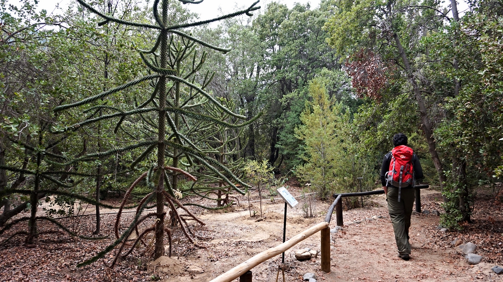 Rio Clarillo National Reserve In Chile My Guide Chile