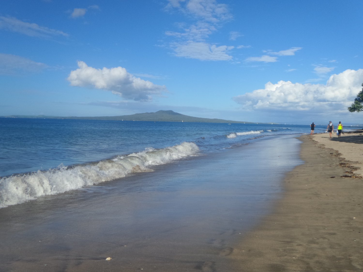 Exploring the Milford Beach Reserve