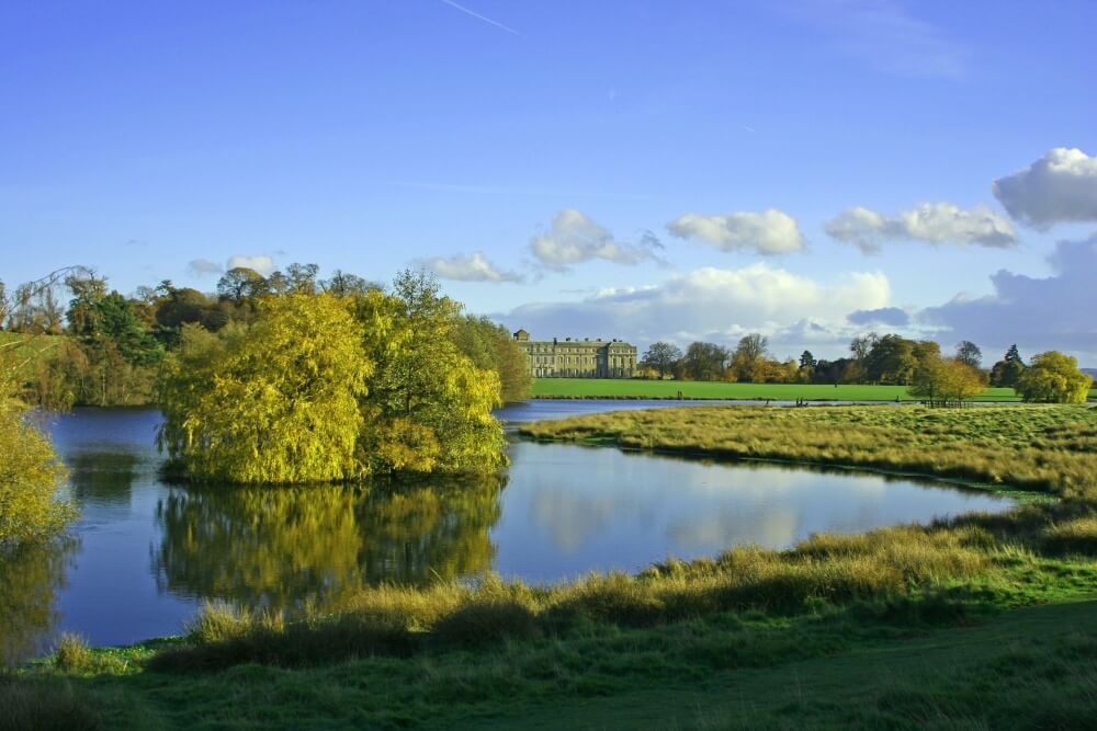 Petworth Park