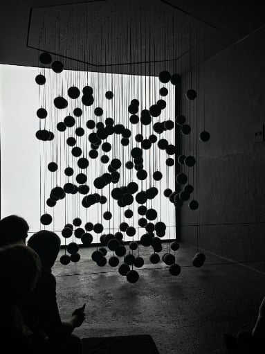 Photo of DARK MATTER exhibit titled Inverse