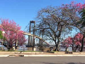 Mesopotamia: land surrounded by rivers