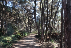 Lake Rotorua Walkway