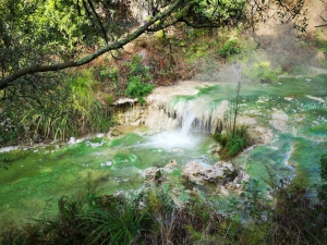 Waimangu Volcanic Valley