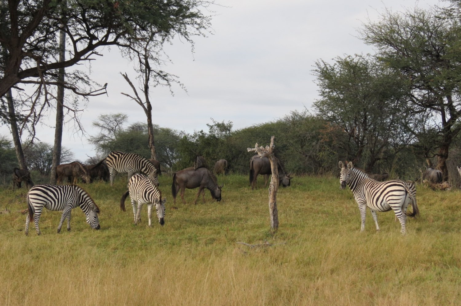 Hwange National Park Top Attractions