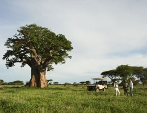10 Interesting Facts About Zimbabwe