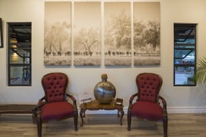 A Guide To Souvenir Shopping In Zimbabwe