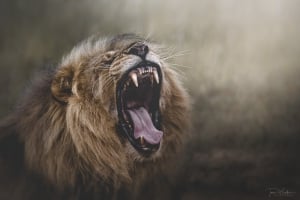 A Guide To Souvenir Shopping In Zimbabwe