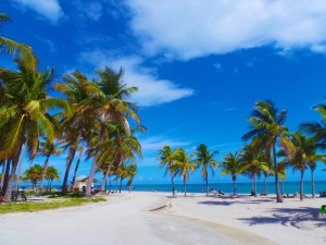 Best Beaches To Relax Close To Nature in Miami