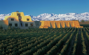Best wineries to experience in Argentina