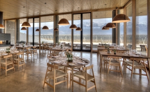 Best wineries to experience in Argentina