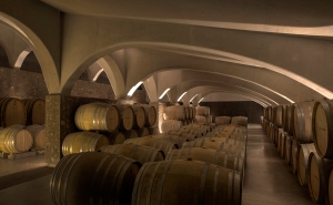 Best wineries to experience in Argentina