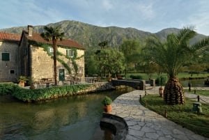 Catovica Mlini the Winner of the BIG SEE Tourism Award 2020