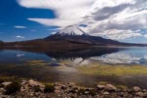 Chile, your best bet: the training cycle that joins the public and private worlds around our destinations