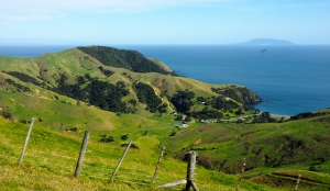 Coromandel Coastal Walkway