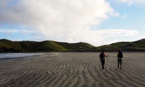 Coromandel Coastal Walkway
