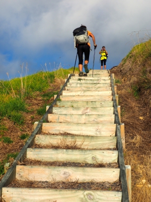 Coromandel Coastal Walkway