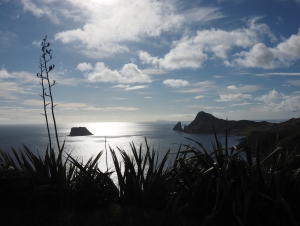 Coromandel Coastal Walkway