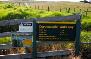 Coromandel Coastal Walkway