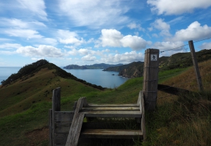 Coromandel Coastal Walkway