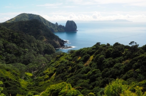 Coromandel Coastal Walkway