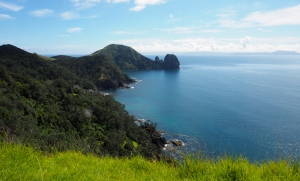 Coromandel Coastal Walkway
