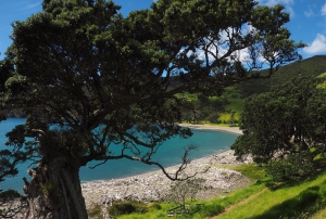 Coromandel Coastal Walkway