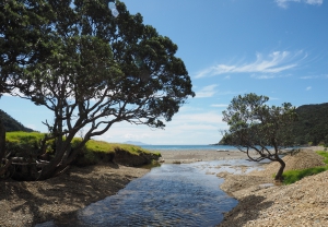 Coromandel Coastal Walkway