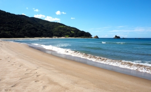 Coromandel Coastal Walkway