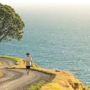 Coromandel Coastal Walkway