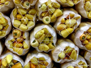 Explore Balkans - Eco, Rural & Adventure Paradise