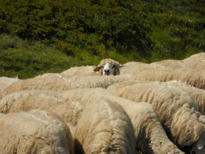 Explore Balkans - Eco, Rural & Adventure Paradise