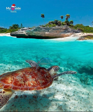 Hoping for the Best in 2021